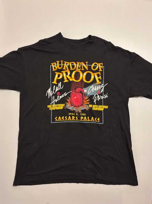 Burden of Proof - McCall vs Holmes and Chavez vs Parisi